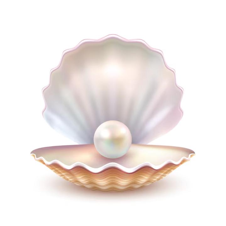 Sola Losa