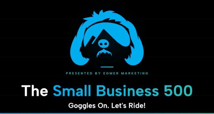 The Small Business 500