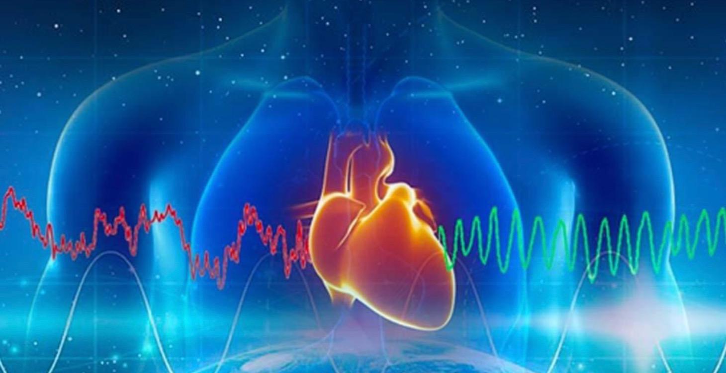 Τι είναι η Ακαδημία της Καρδιάς