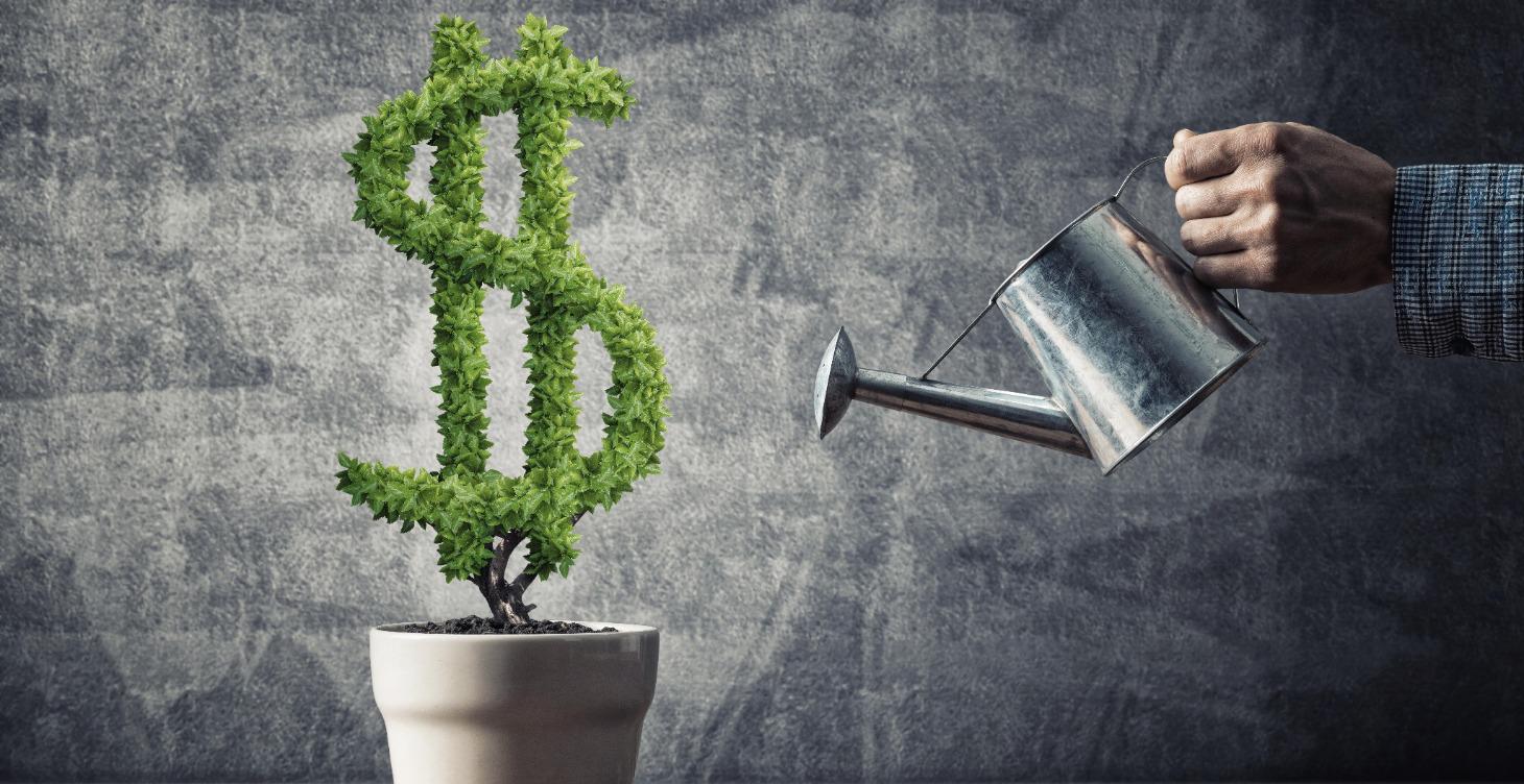 Using Canva to create social media videos & posts