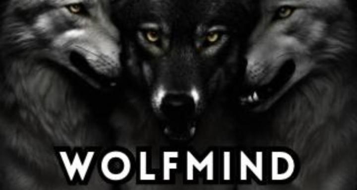 Wolfmind Mastery community