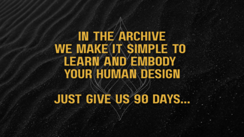 The Archive gallery image