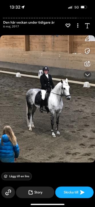 Veronica Junros Nilsson