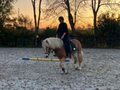 Martine Klijnsmit-Stinis