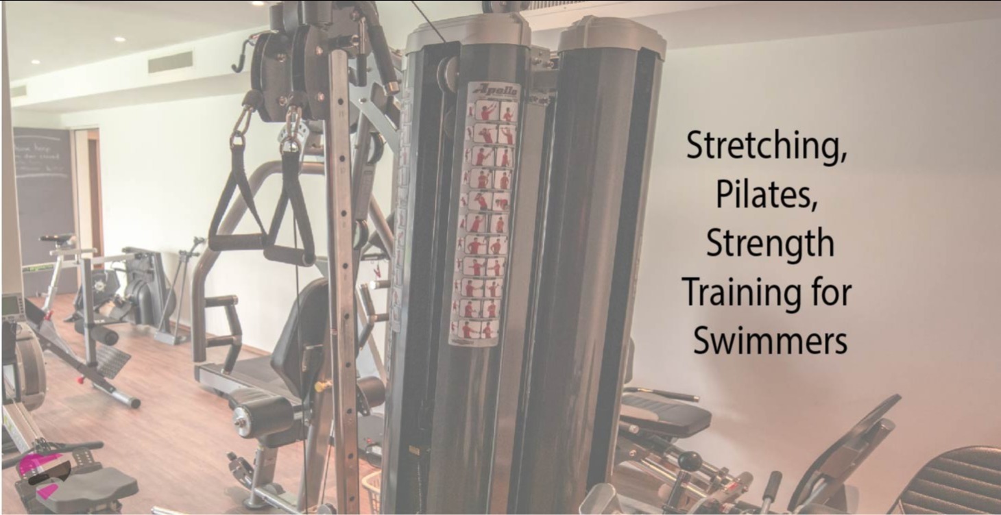 Dry Land Exercises for swimmers