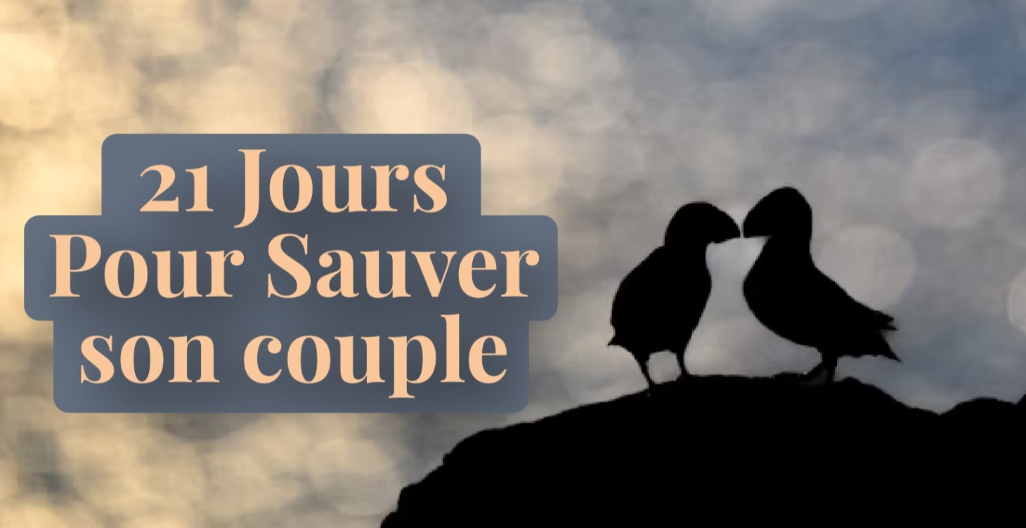 21 JOURS POUR SAUVER SON COUPLE