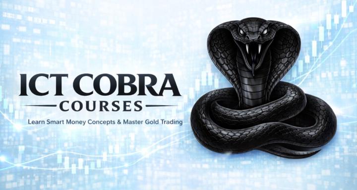 COBRA TRADING GROUP / ICT