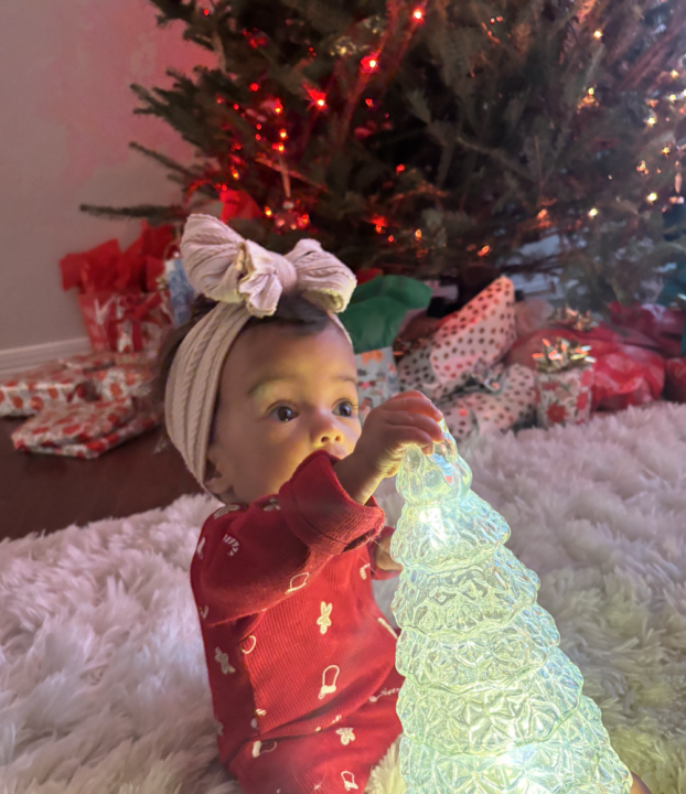 Merry Christmas From My Family to Yours 🎄