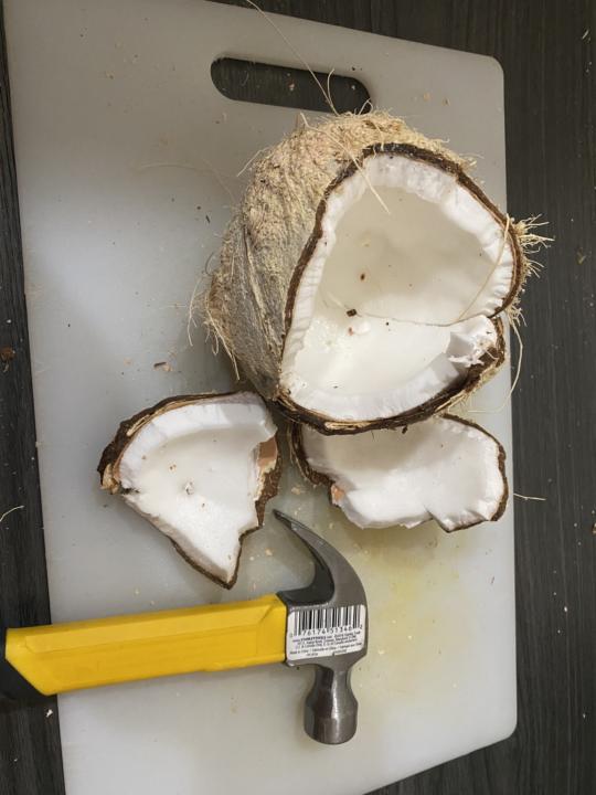 Coconut time