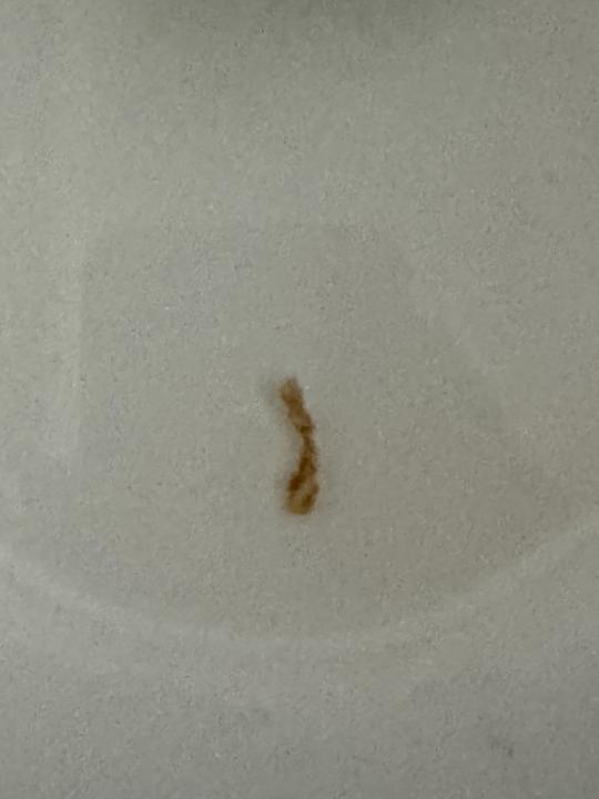 Wow I released a parasite! 