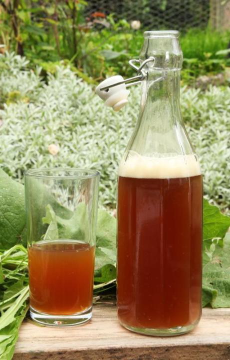 Dandelion and Burdock drink (Tum Tum friendly)