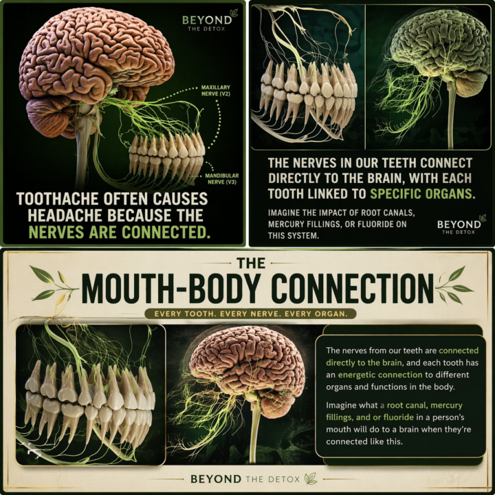 Why Biological Dentistry Matters (And What Most People Aren’t Told About Dental Work)
