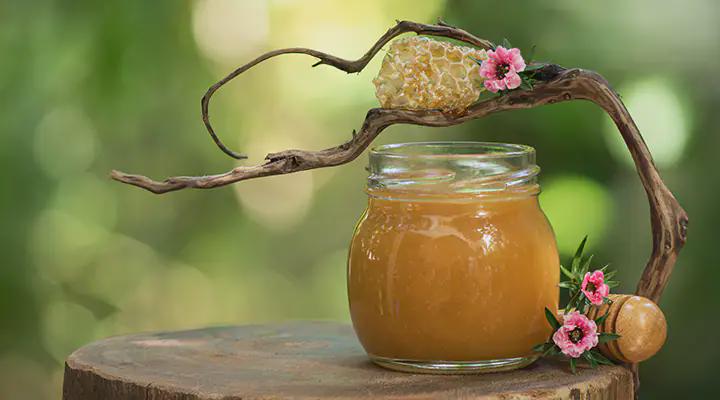 Manuka honey 