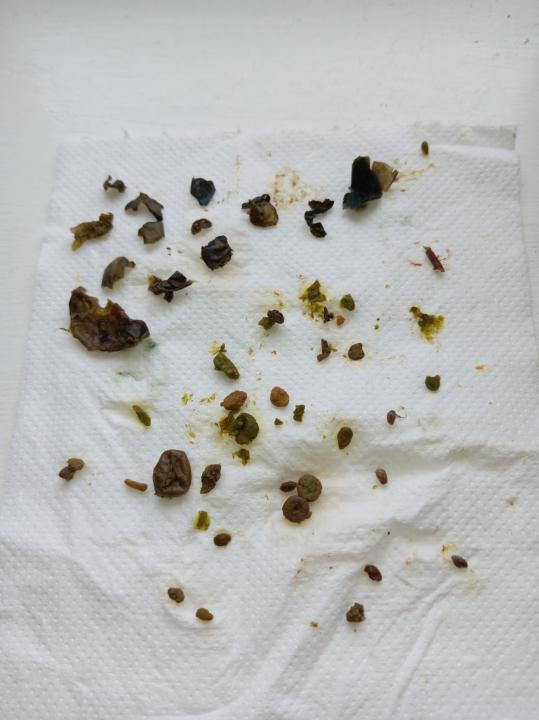 After First Deep Flush 