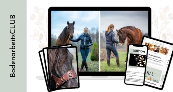 BodenarbeitsCLUB 🐴 