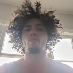 Matiu Leef