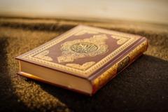 Taysir Education