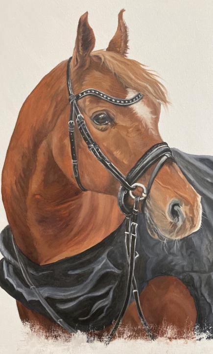 Caballos
