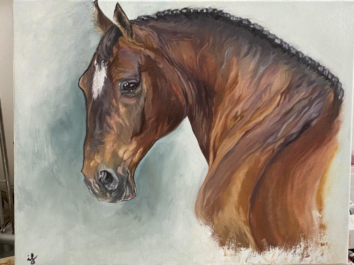 Nueva por aquí 🙂