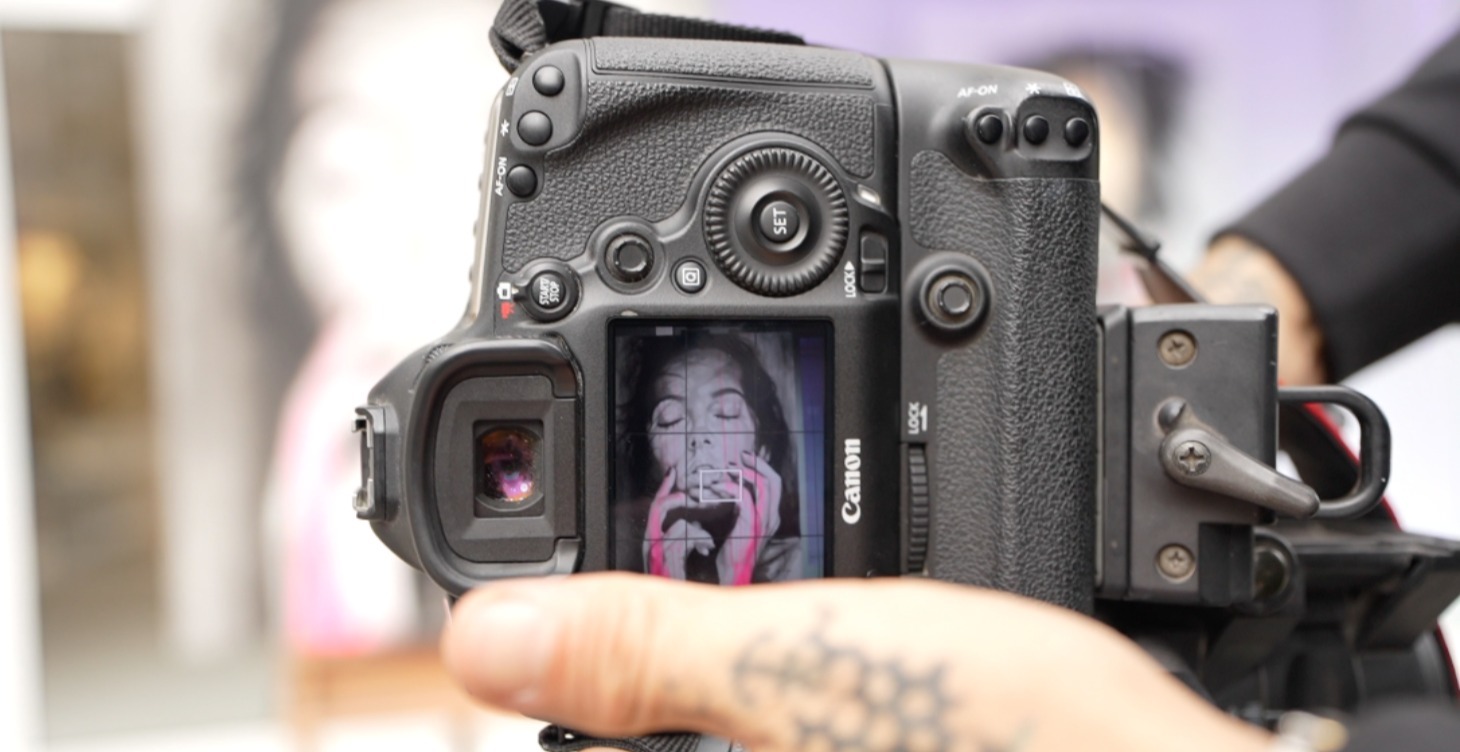 Las Fotografías del Artista (NV3)