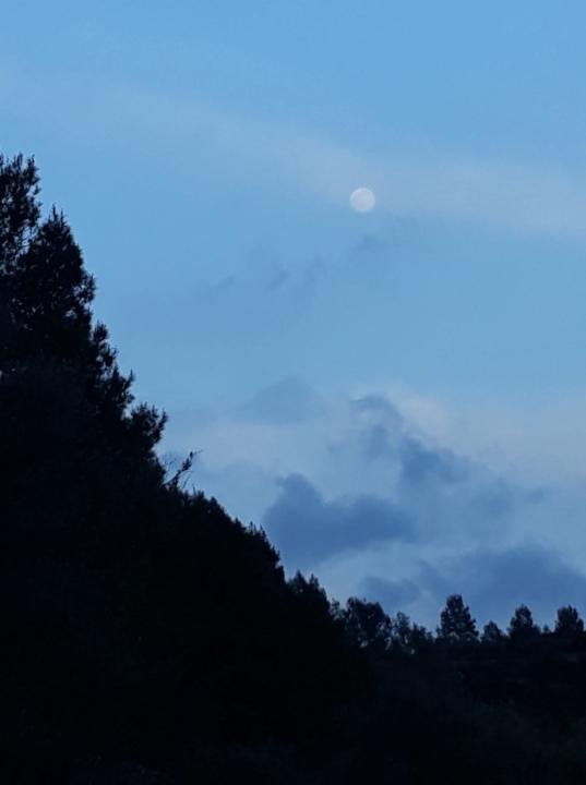 LA LUNA DE ABRIL