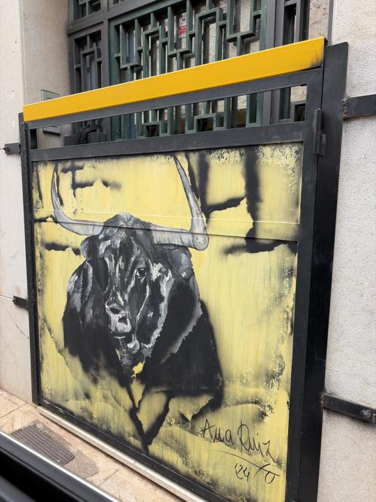 Burladero o portón de hierro con ilustración propia