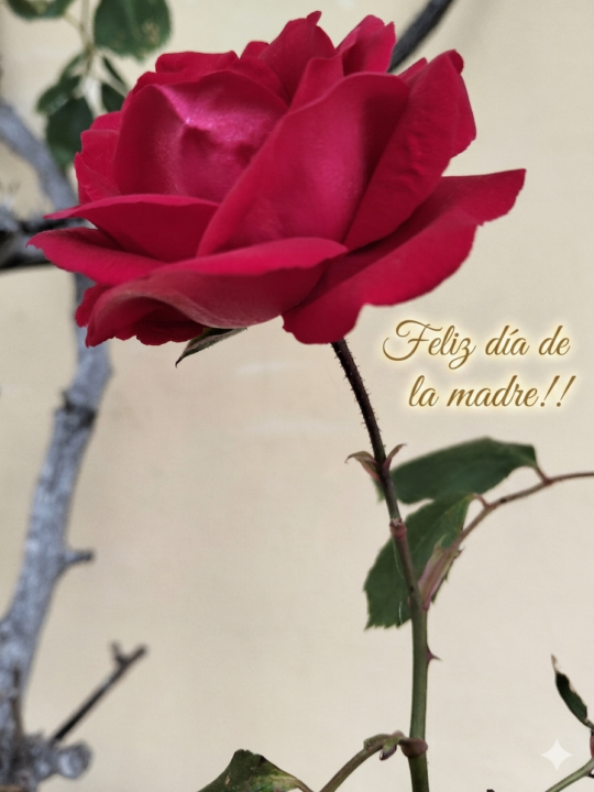 PRIMER DOMINGO DE MAYO.....