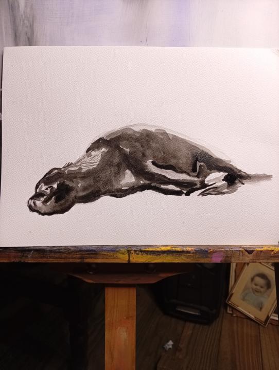 Boceto 