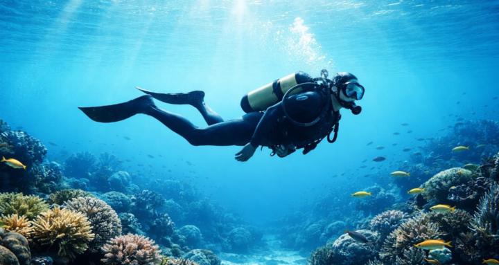 The Scuba Diving School