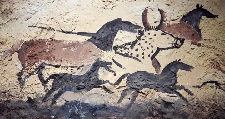 Modern Stone Age Wellness