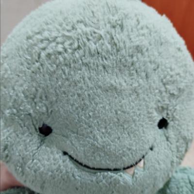 Kang Kang