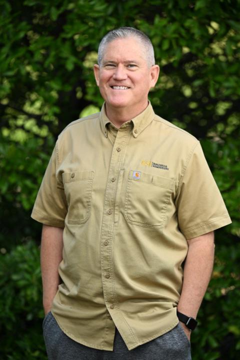 David Sipes