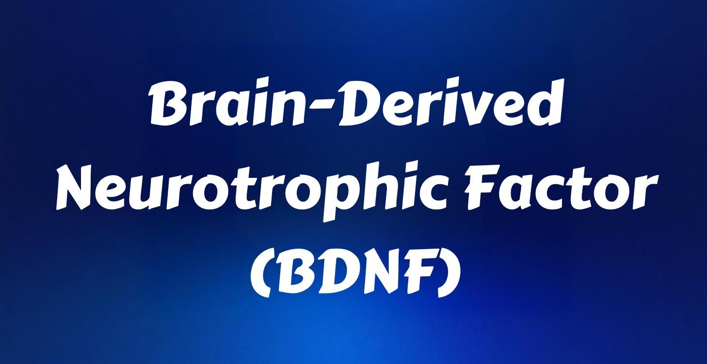 Brain-Derived Neurotrophic Factor (BDNF)