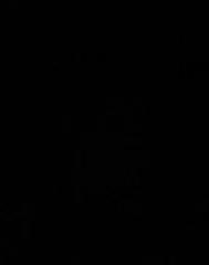 Cornelius Elpidio Amewu