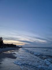 Lee-Ann Farina König