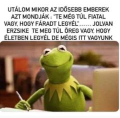 Gereczi Lili