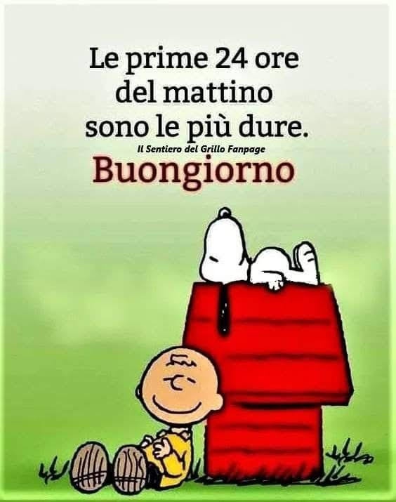 Cristina D'Andrea