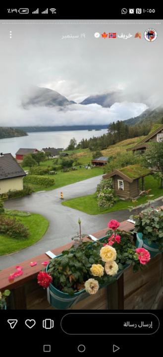 عادل الفارسي