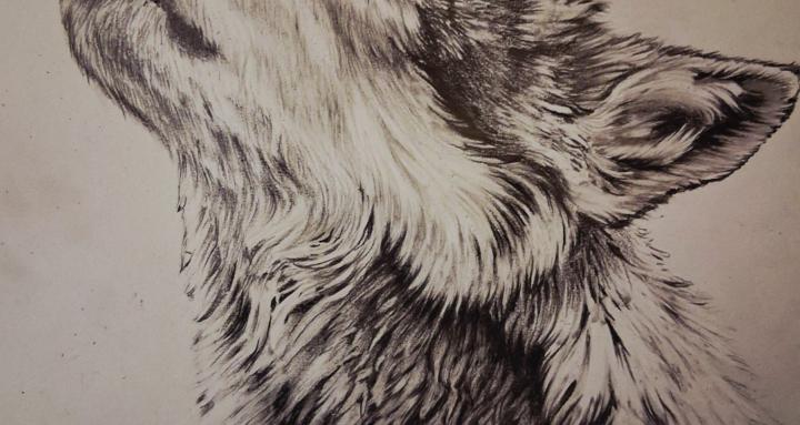 SHADOWS&LIGHT PENCIL ART