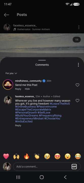 Instagram commenters