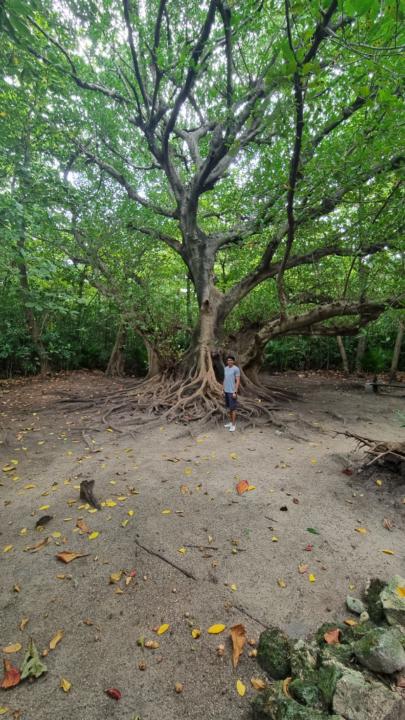 Alejandro Duarte Martínez