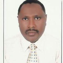 Hussien Mohamed Ali