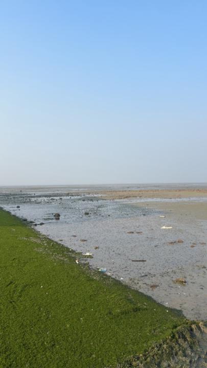 Yousef Taher Affendi