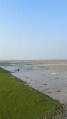 Yousef Taher Affendi