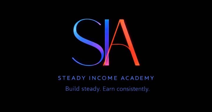 Steady Income Academy