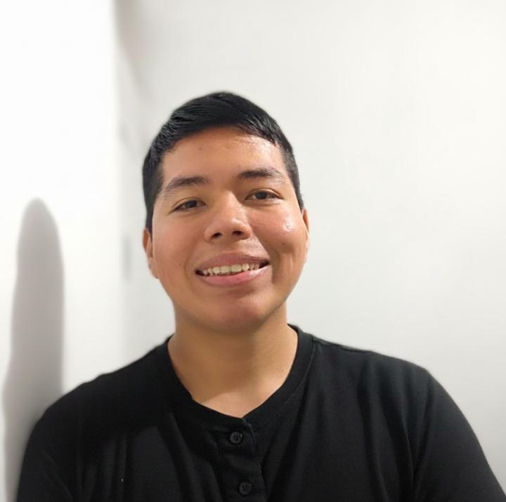 Wilman zahir Llamoca garamendi