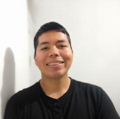 Wilman zahir Llamoca garamendi