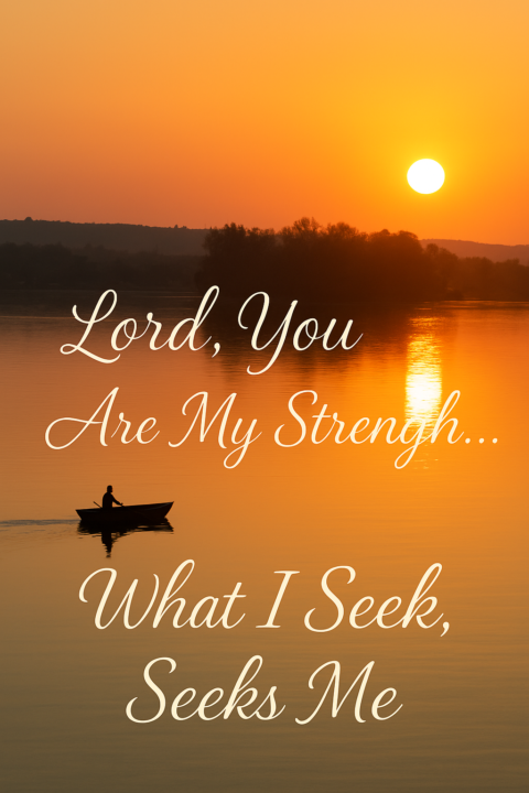 What You Seek ~ Seeks You