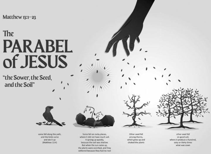 Wisdom is the Root ~ Wealth is the Fruit