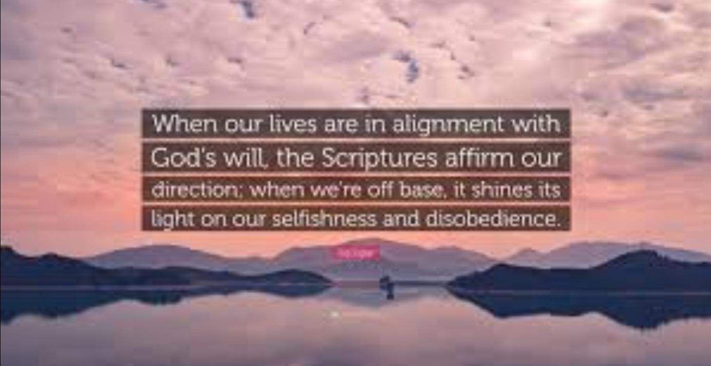 DIVINE ALIGNMENT 🌸